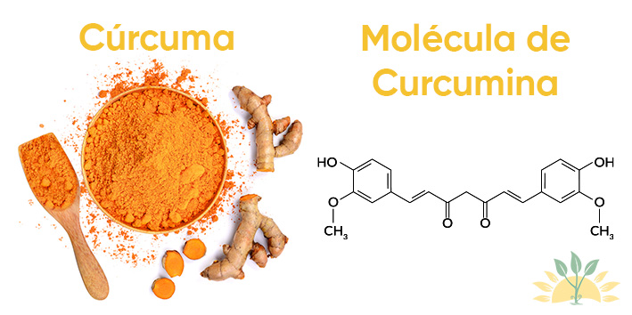 Curcuma e curcumina e a mesma coisa